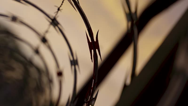 The first shot of Run Rabbit, barbed wire against the sky, as the exported still.